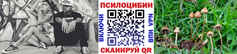 Псилоцибиновые грибы Psilocybine cubensis Нефтекумск